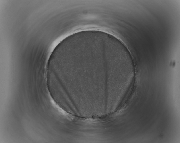 X0000114411527200911131417