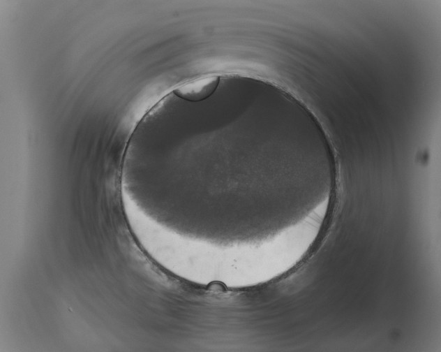 X0000114411529200911131417