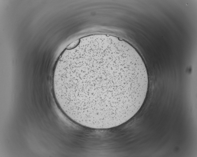 X0000114411531200911131417