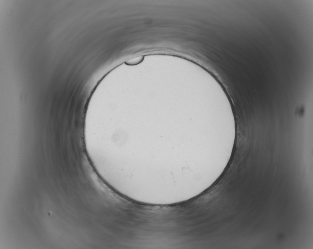 X0000114411534200911131417