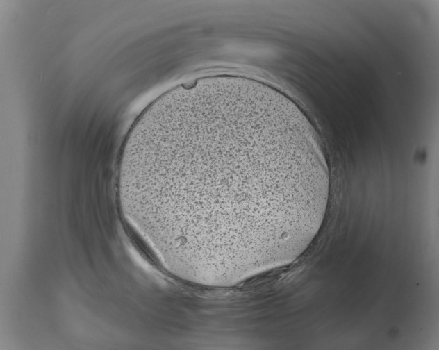 X0000114411535200911131417