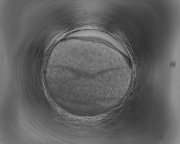 X0000114410001200911271537