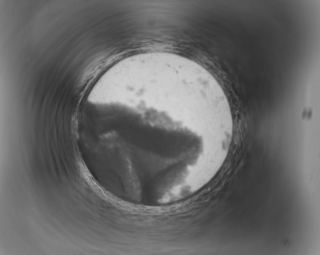 X0000114410002200911271537