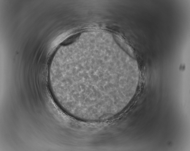 X0000114410005200911271537