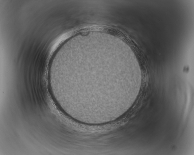 X0000114410006200911271537