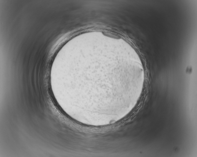 X0000114410007200911271537