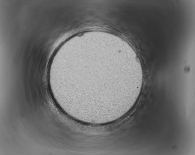 X0000114410008200911271537