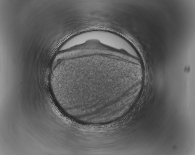 X0000114410009200911271537