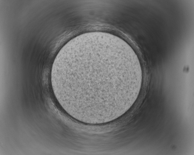 X0000114410010200911271537