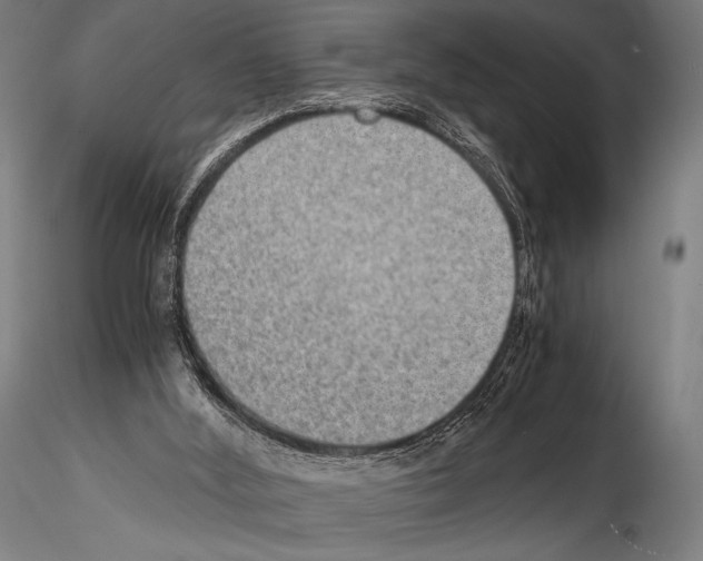 X0000114410012200911271537