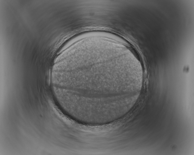 X0000114410013200911271537