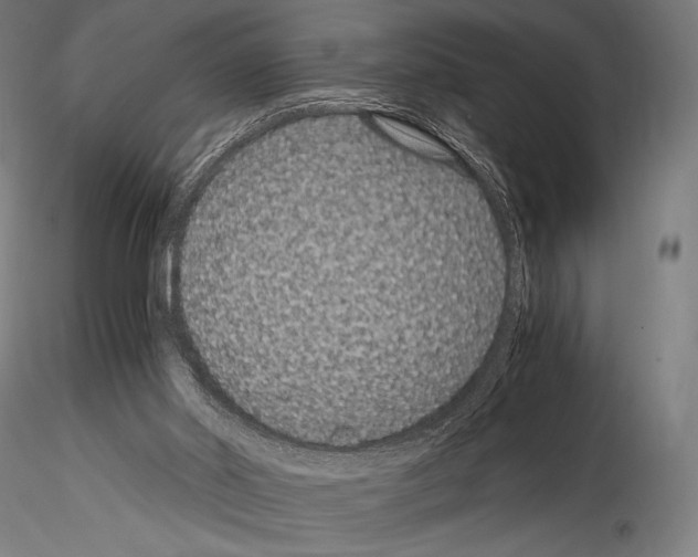 X0000114410014200911271537