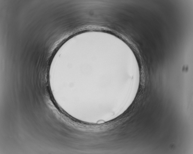 X0000114410015200911271537