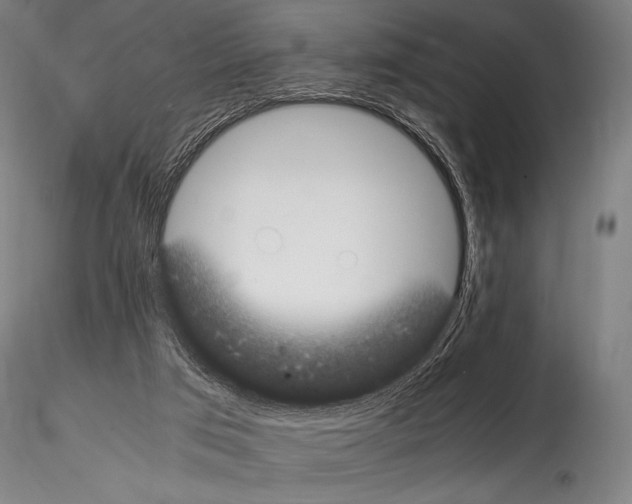 X0000114410017200911271537