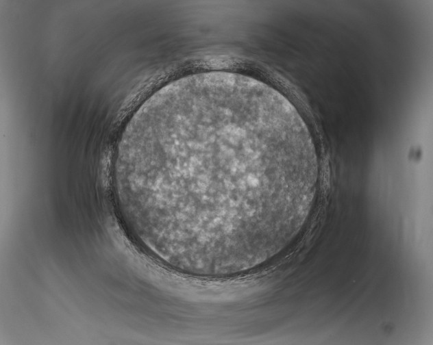 X0000114410018200911271537