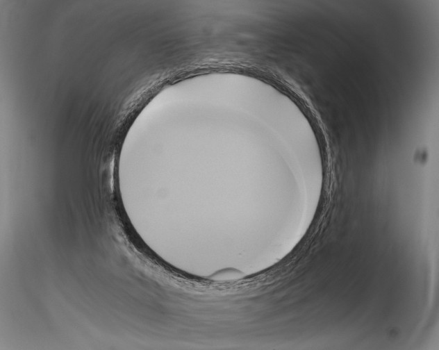 X0000114410019200911271537