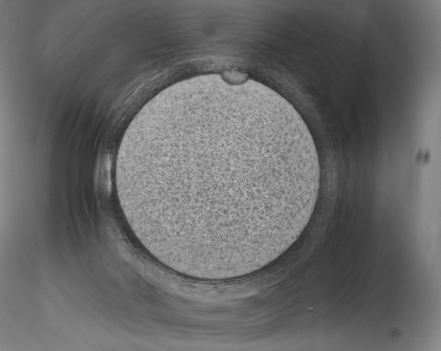 X0000114410022200911271537