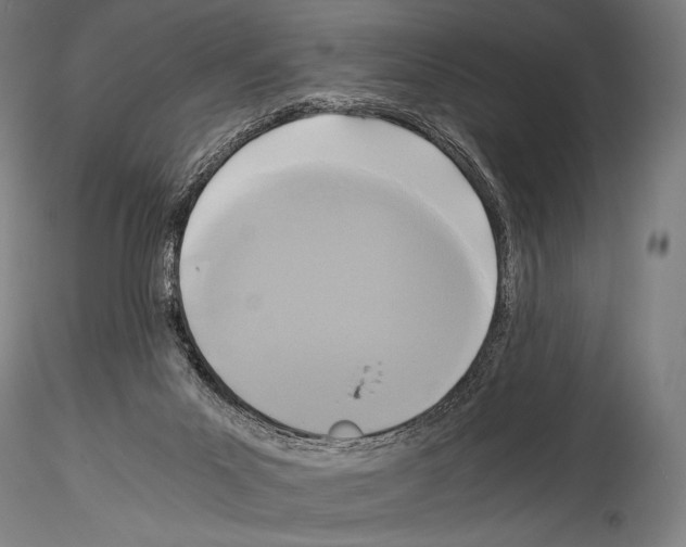 X0000114410023200911271537