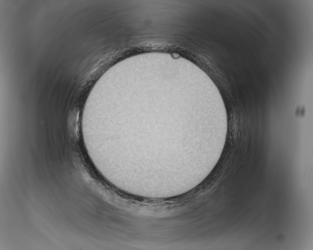 X0000114410024200911271537