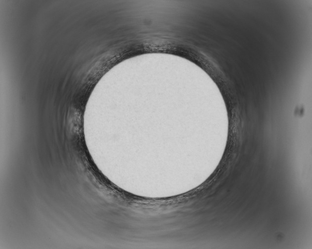 X0000114410025200911271537