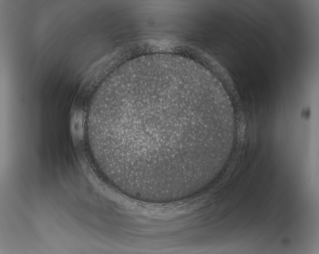 X0000114410026200911271537