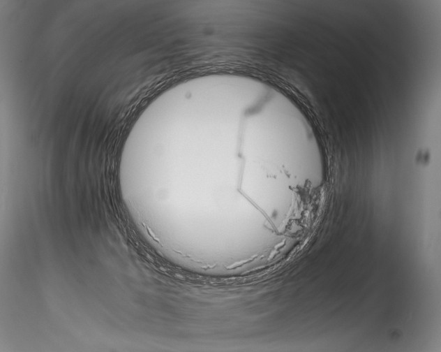 X0000114410029200911271537