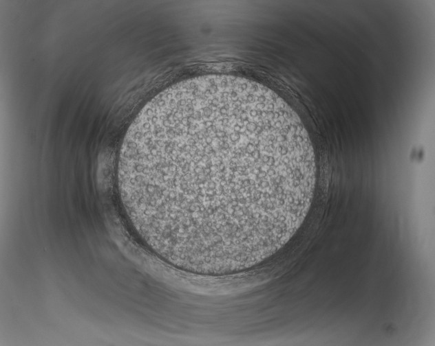 X0000114410030200911271537