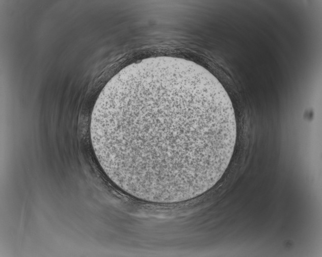 X0000114410033200911271537