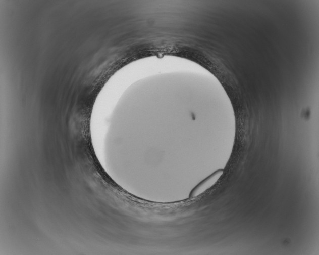 X0000114410035200911271537