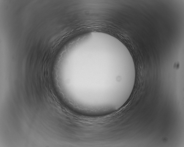 X0000114410037200911271537