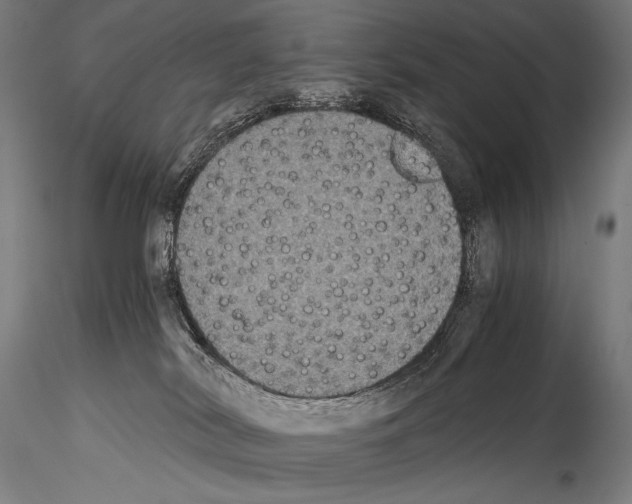 X0000114410038200911271537