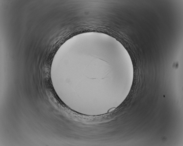 X0000114410039200911271537