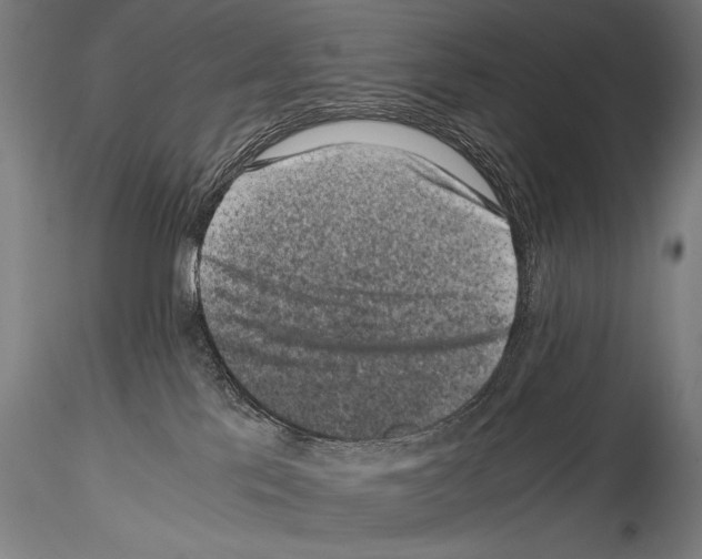 X0000114410041200911271537