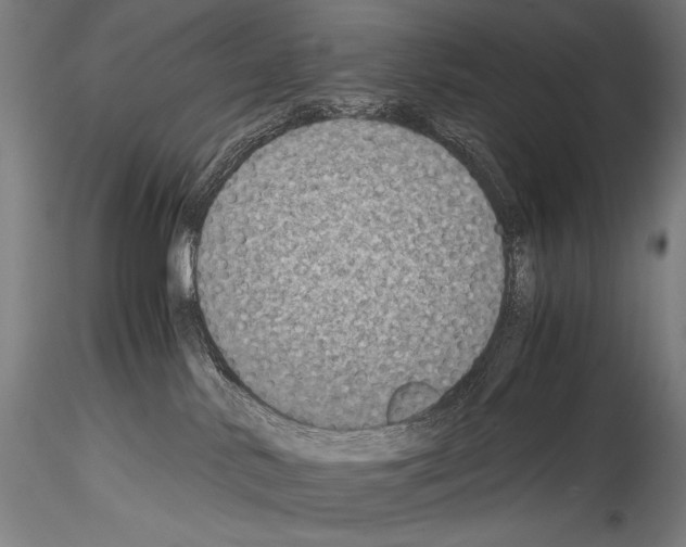 X0000114410042200911271537