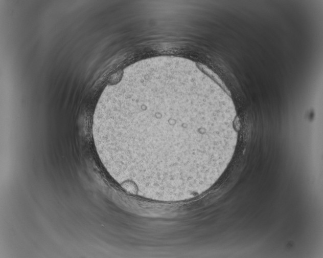 X0000114410044200911271536