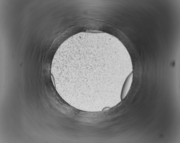 X0000114410045200911271536