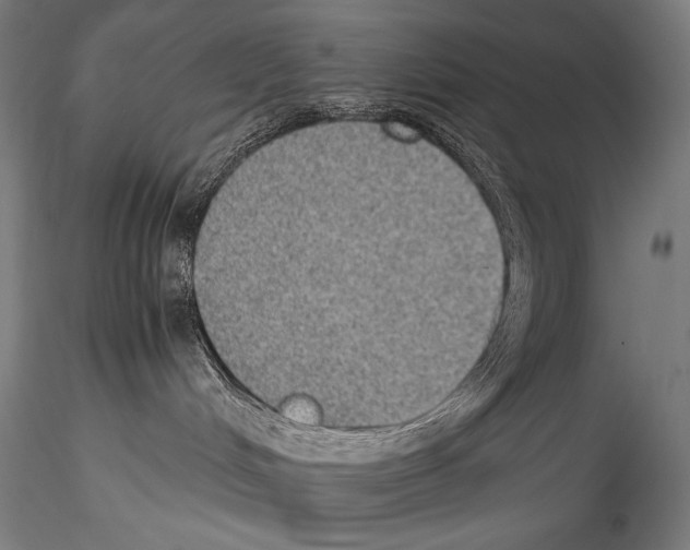 X0000114410048200911271536