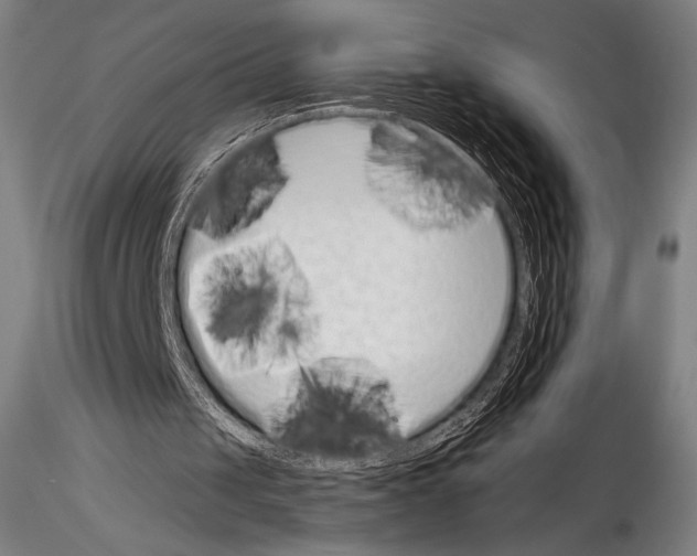 X0000114410049200911271536