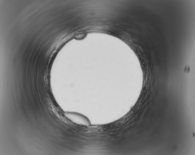 X0000114410050200911271536