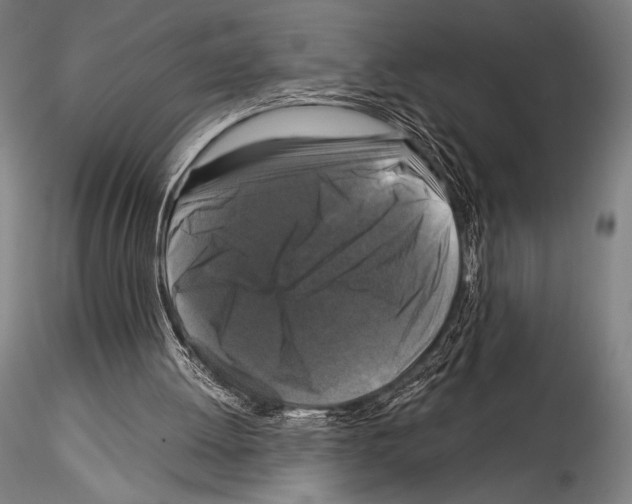 X0000114410052200911271536