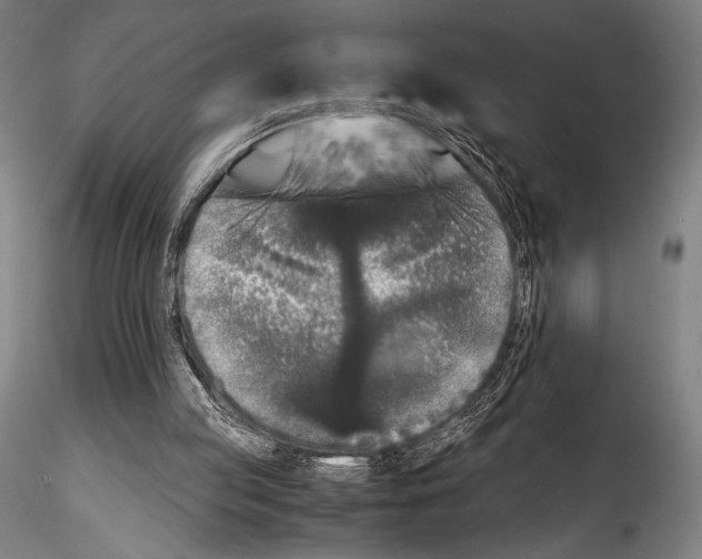 X0000114410053200911271536