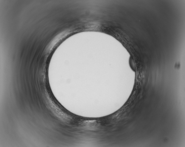 X0000114410054200911271536