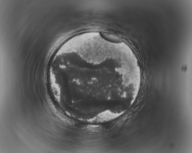 X0000114410055200911271536