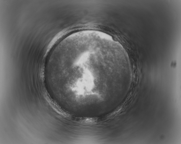 X0000114410056200911271536