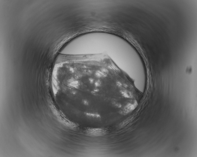 X0000114410058200911271536