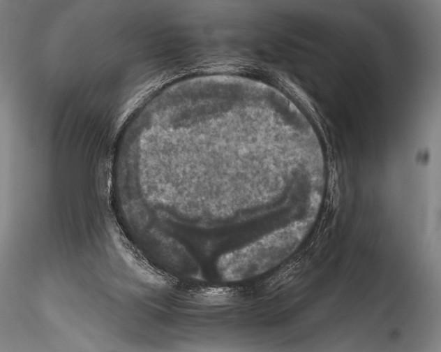 X0000114410059200911271536