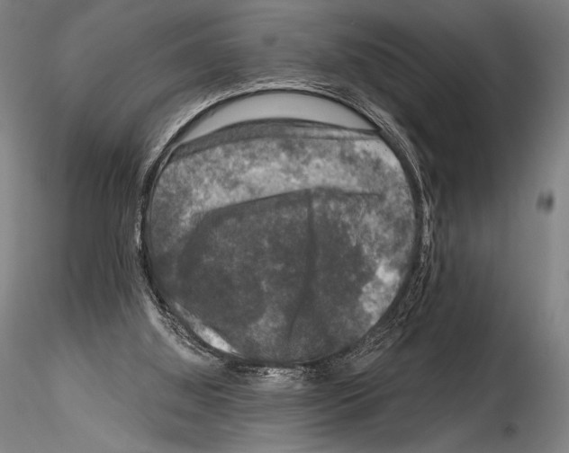 X0000114410060200911271536