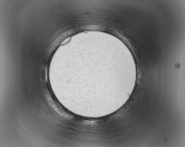 X0000114410061200911271536