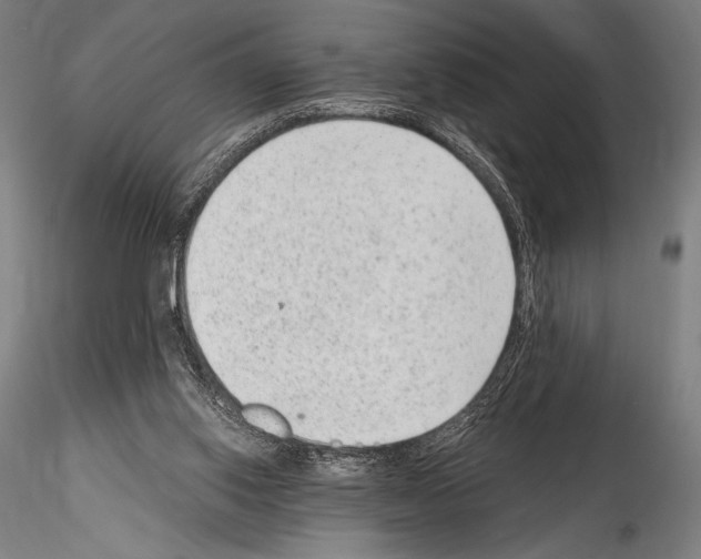 X0000114410062200911271536