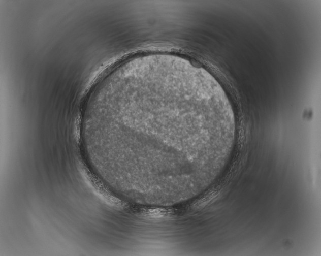 X0000114410064200911271536